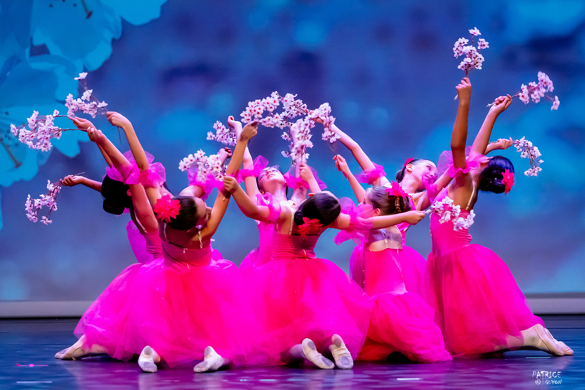 École de danse Elina Lohner à Belfort